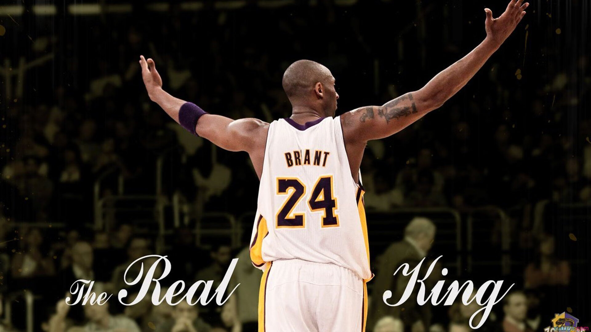 球迷投票：最让你激动的季后赛时刻！，季后赛球员排名